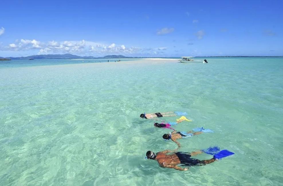 Phantom Island Snorkeling Tour
