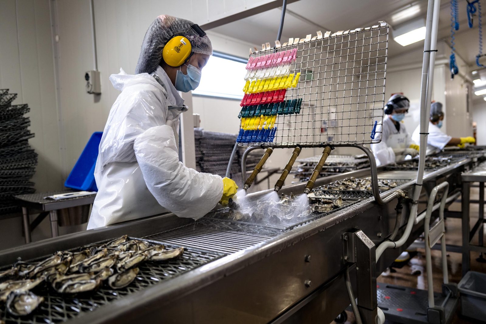 Local Processing Area