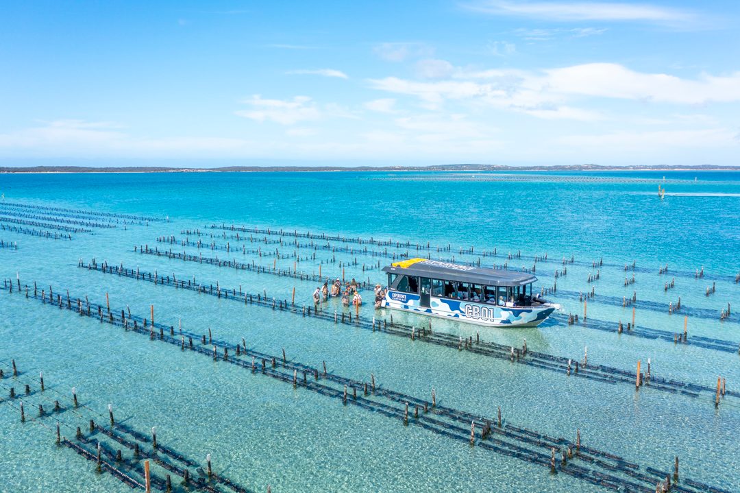 Coffin Bay Oyster Tour Experience