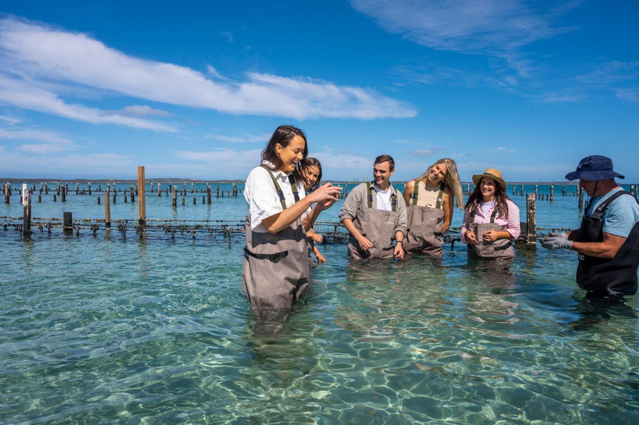 Coffin Bay Oyster Tour