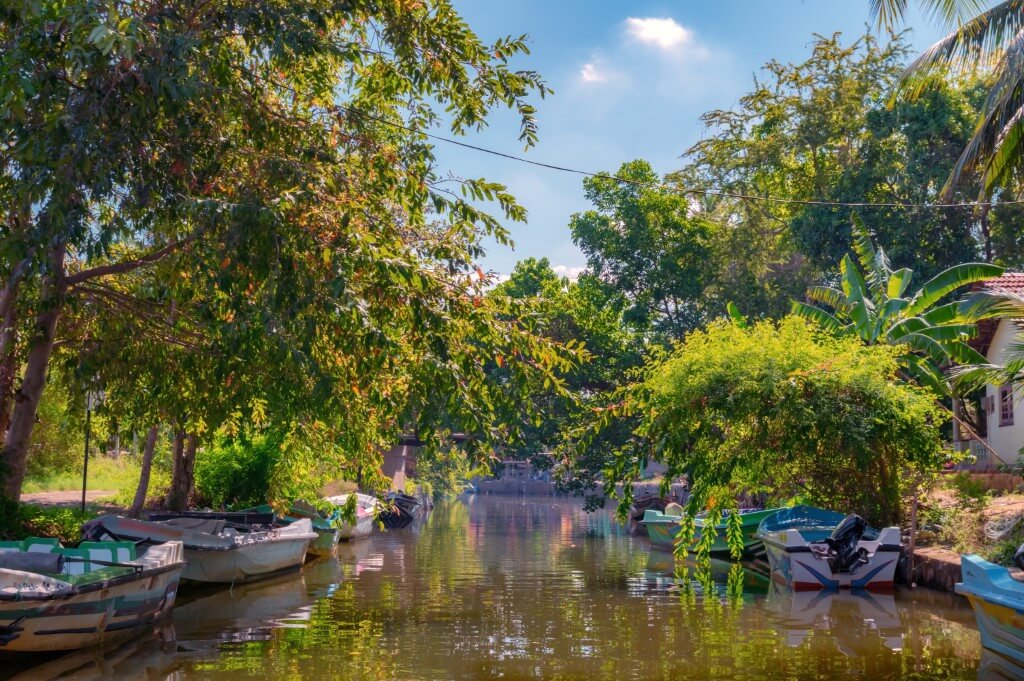 Dutch Canal