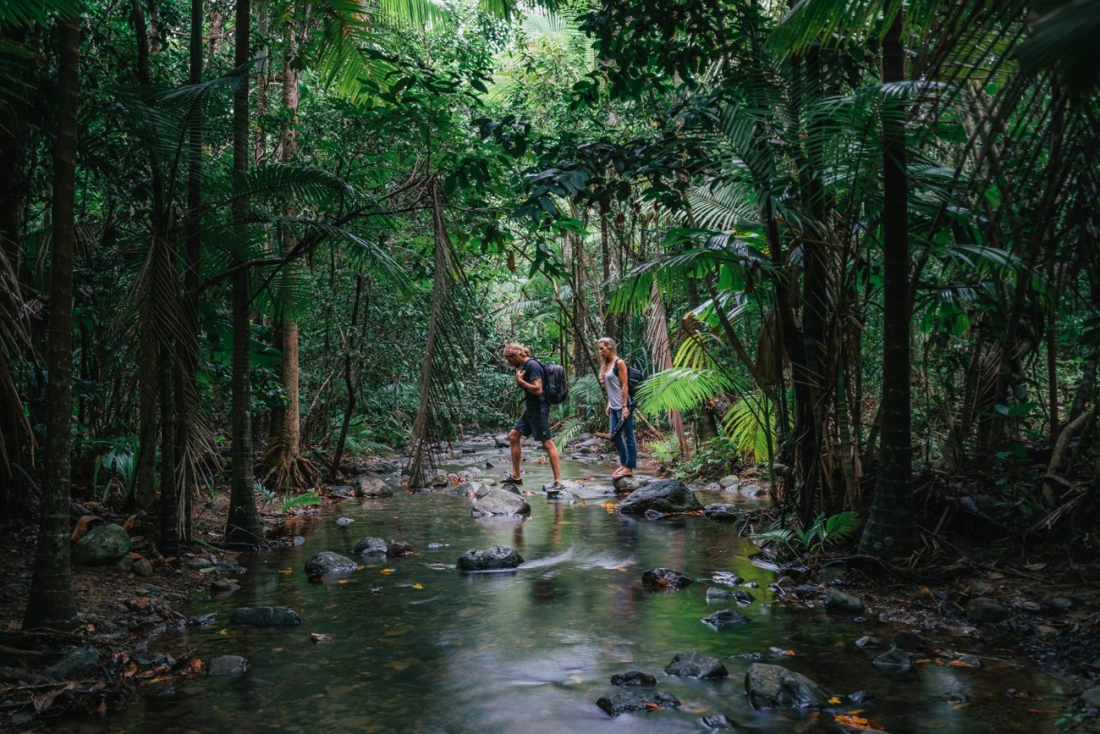 Rainforest Habitat
