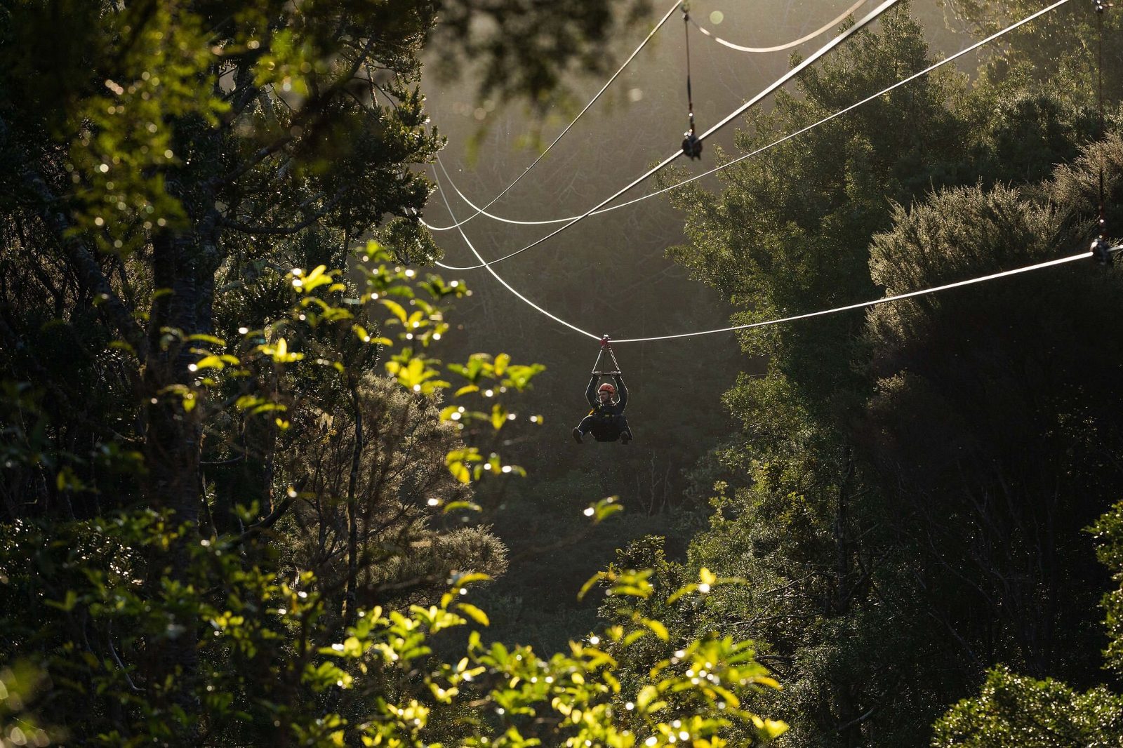 Your experience at Launceston Zipline
