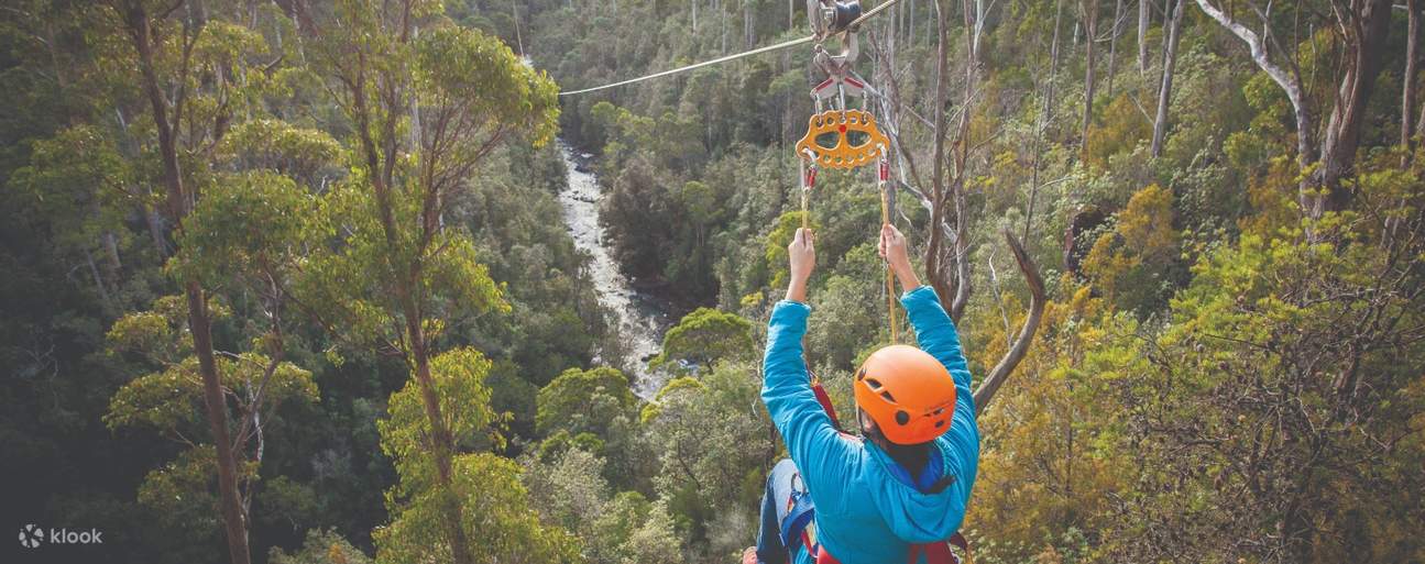 Launceston Zipline