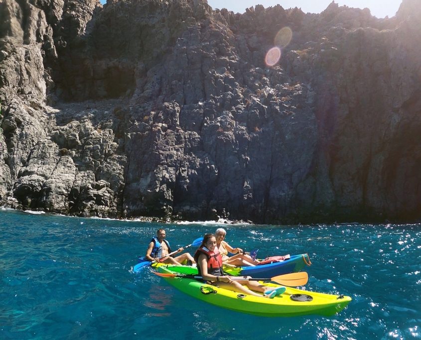 Kayak Palm Mar Coastal Experience