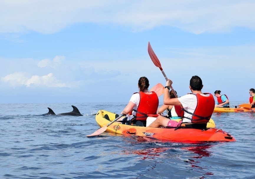 Kayak Palm Mar