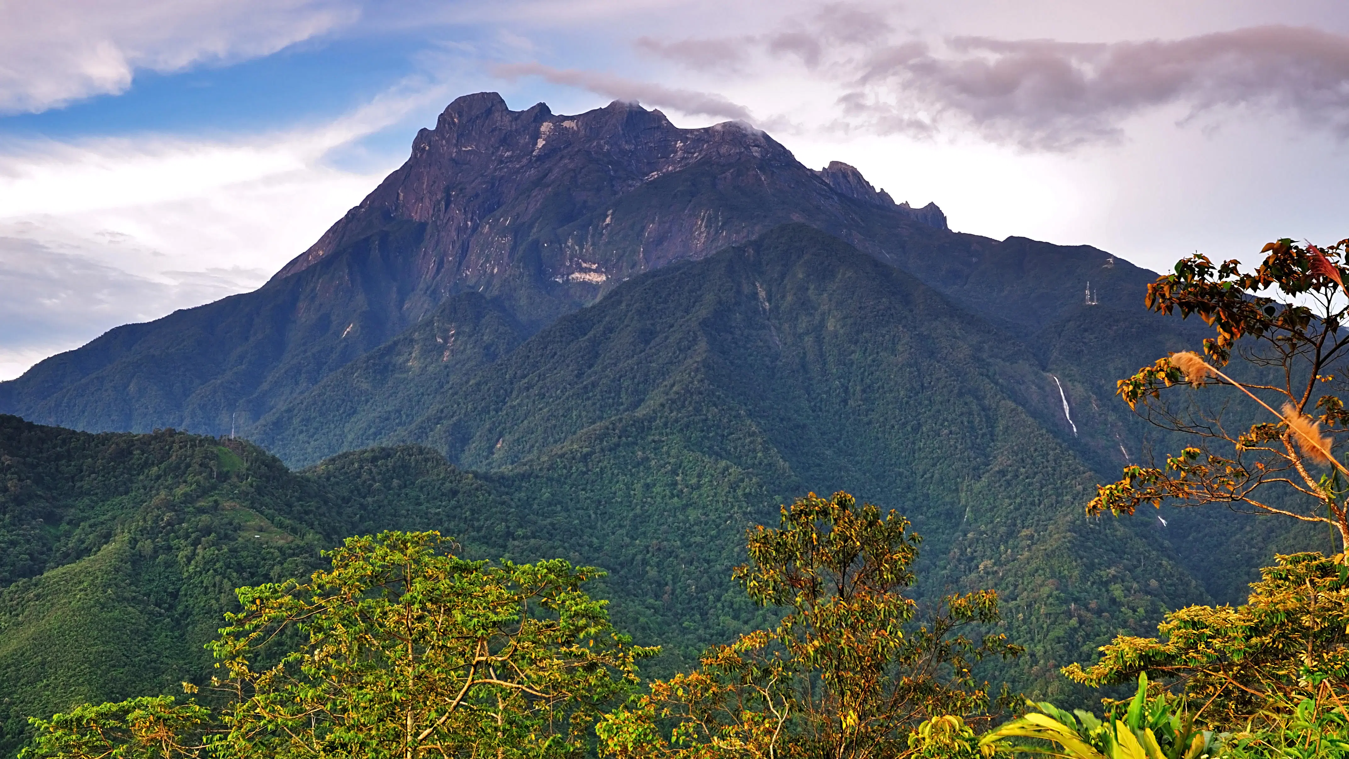 Kinabalu Park and Poring Hot Spring Tour