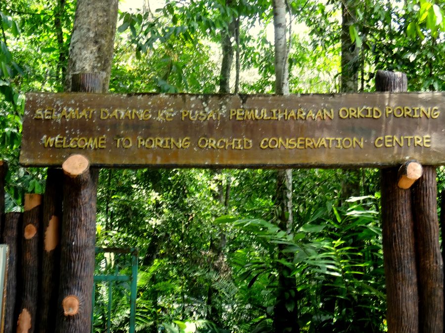 Orchid Conservation Center