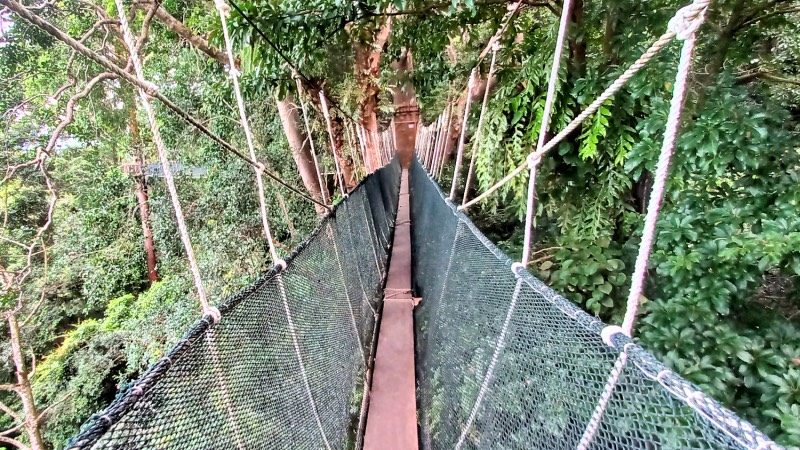 Your experience at Kinabalu Park and Poring Hot Spring Tour