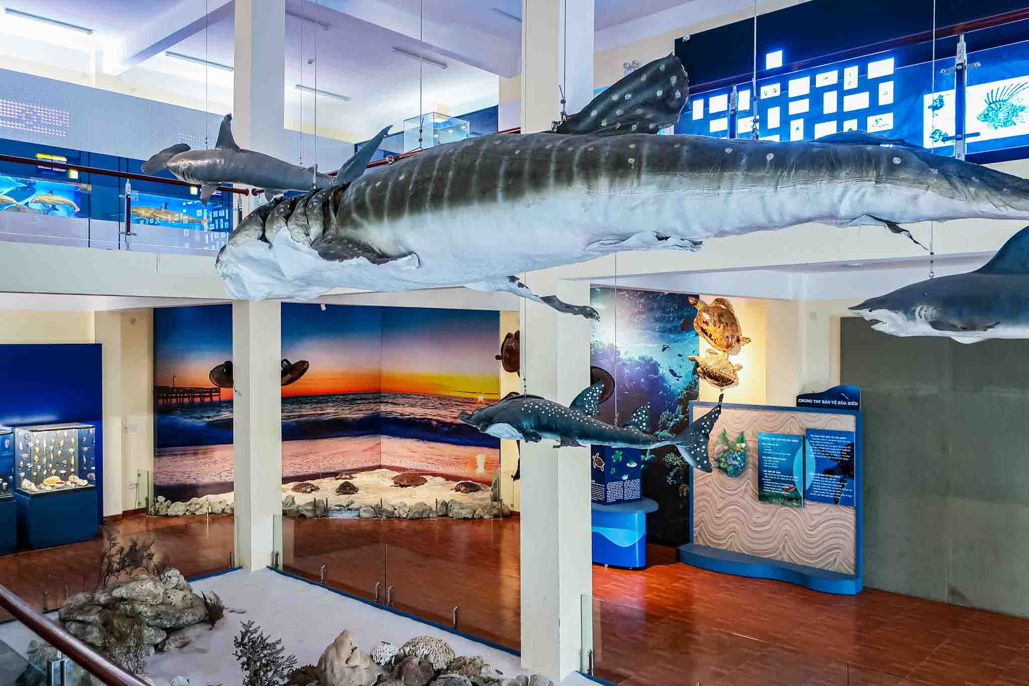 Whale Discovery Center
