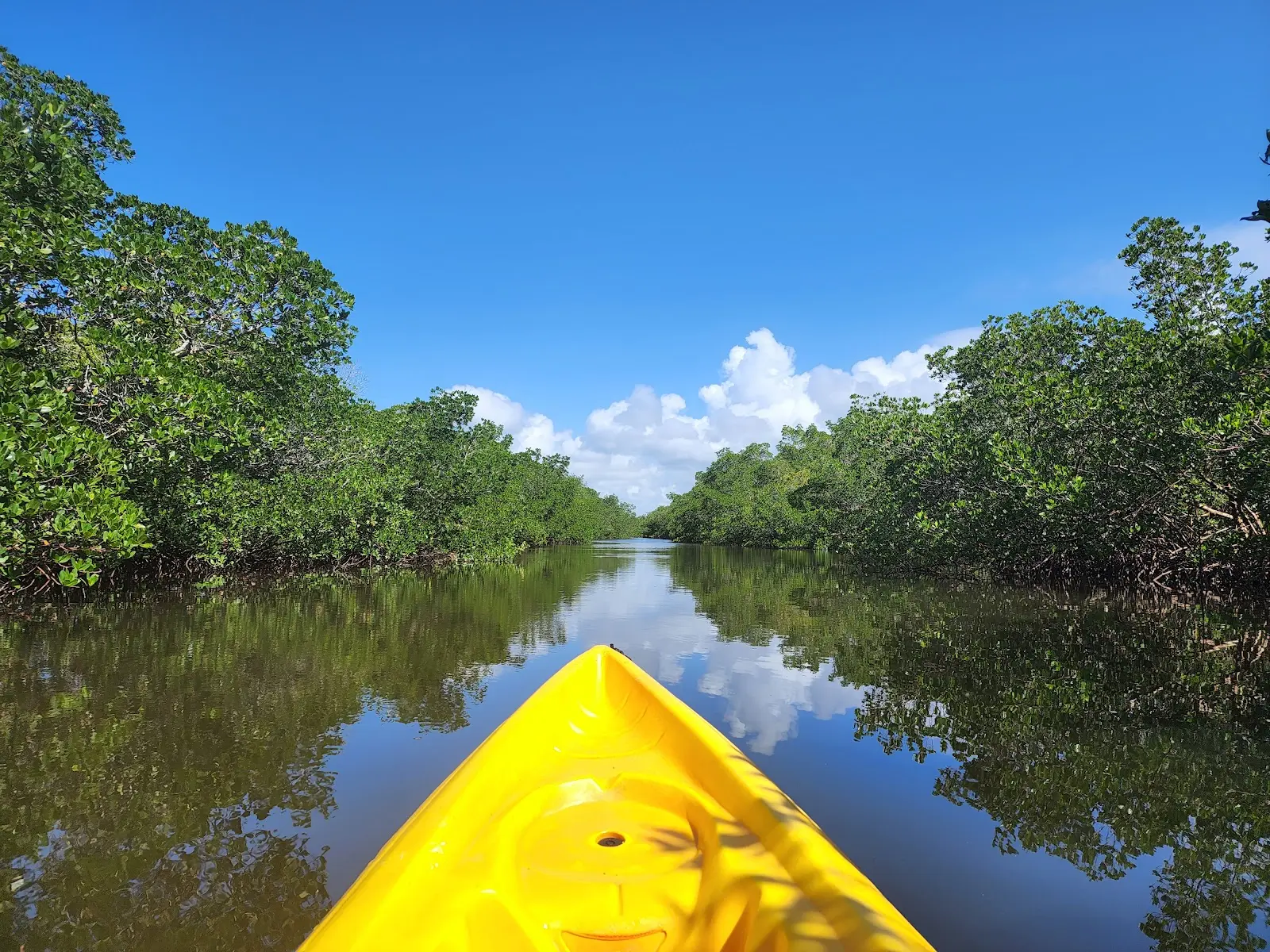 Bunche Beach Preserve
