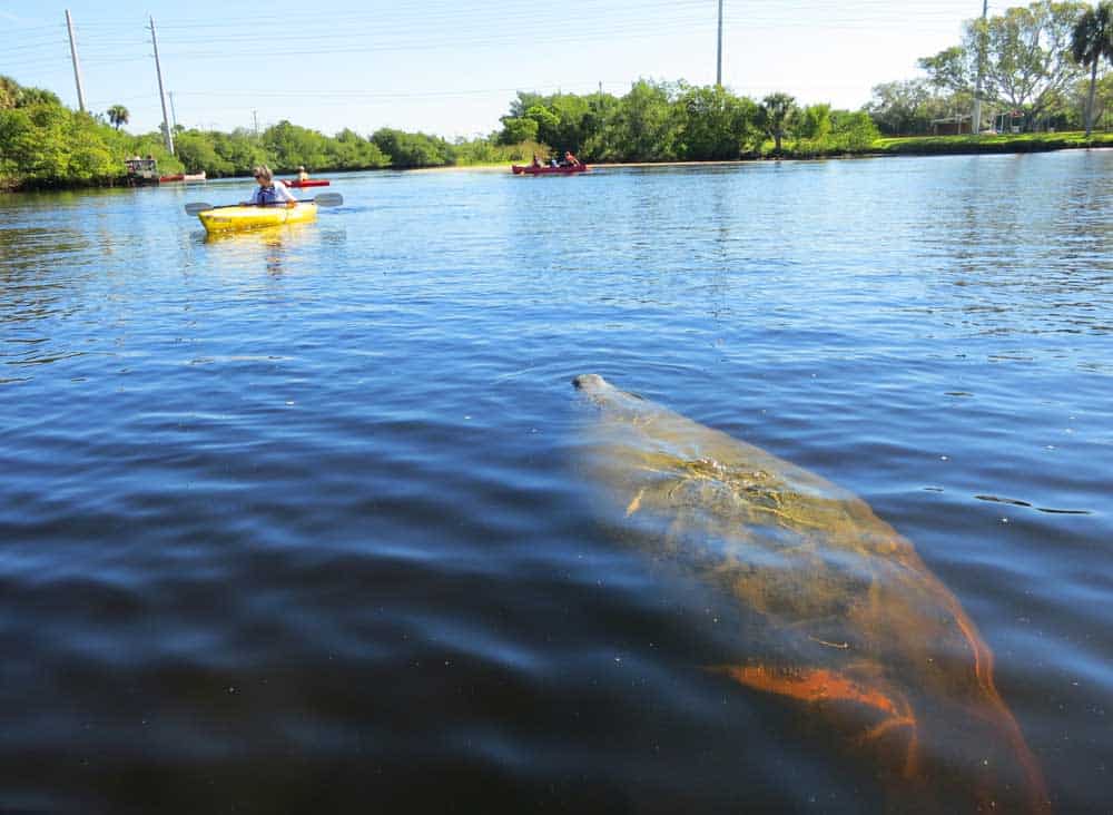 Orange River