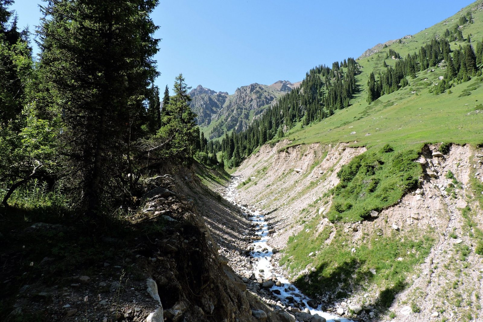 Alpine Stream Crossing