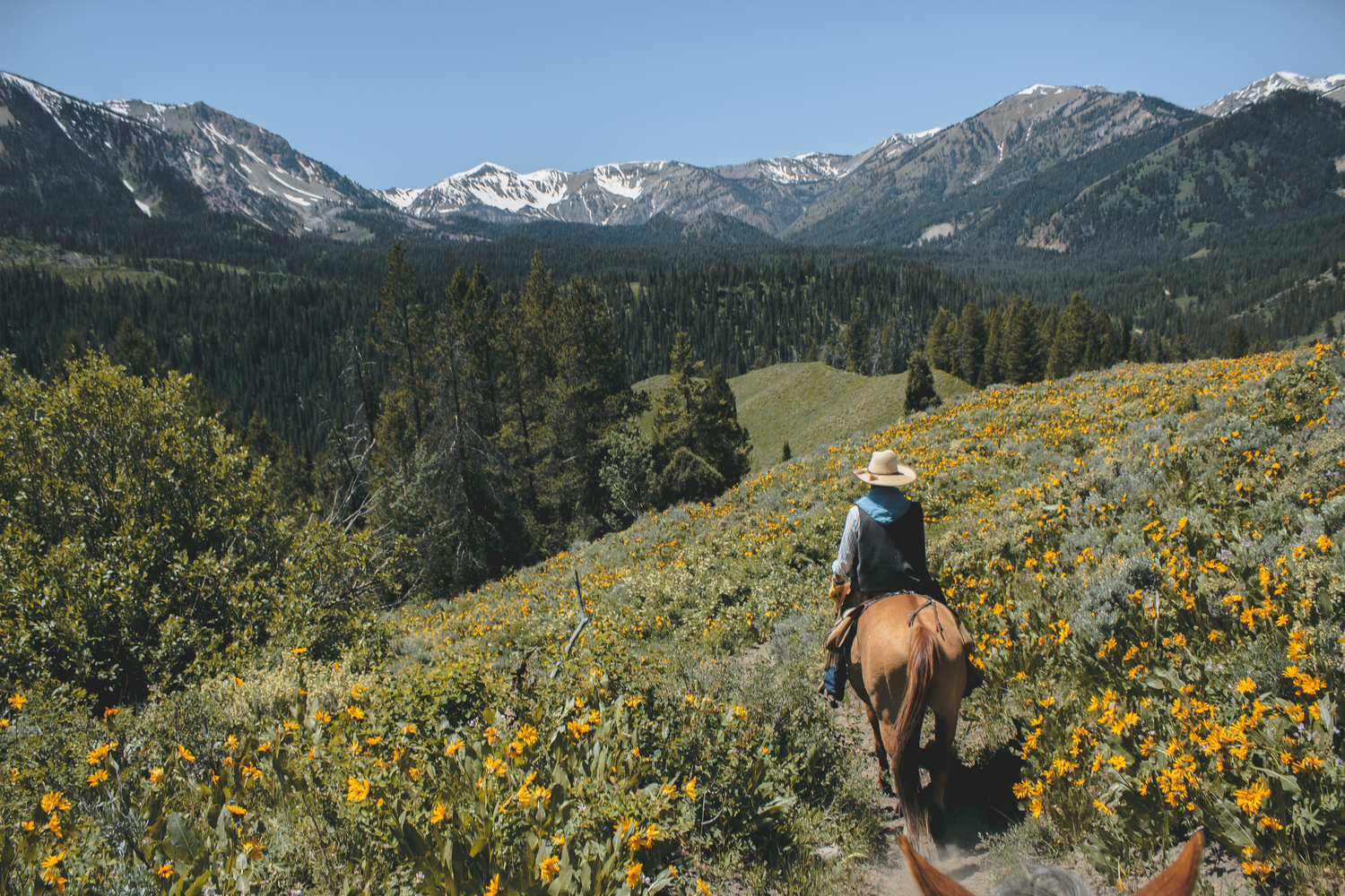 Your experience at Almaty Horseback Riding Tour