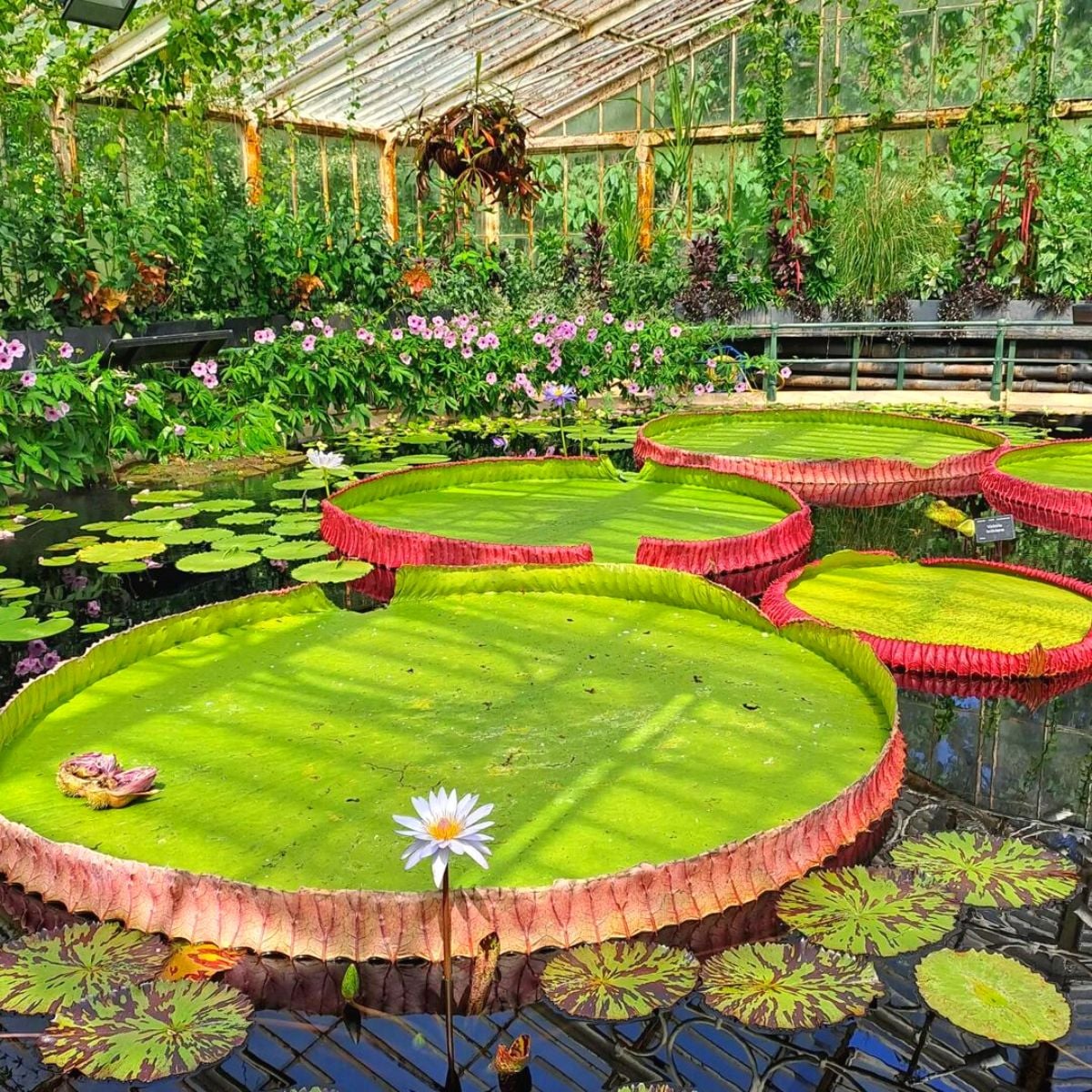 Botanical Gardens