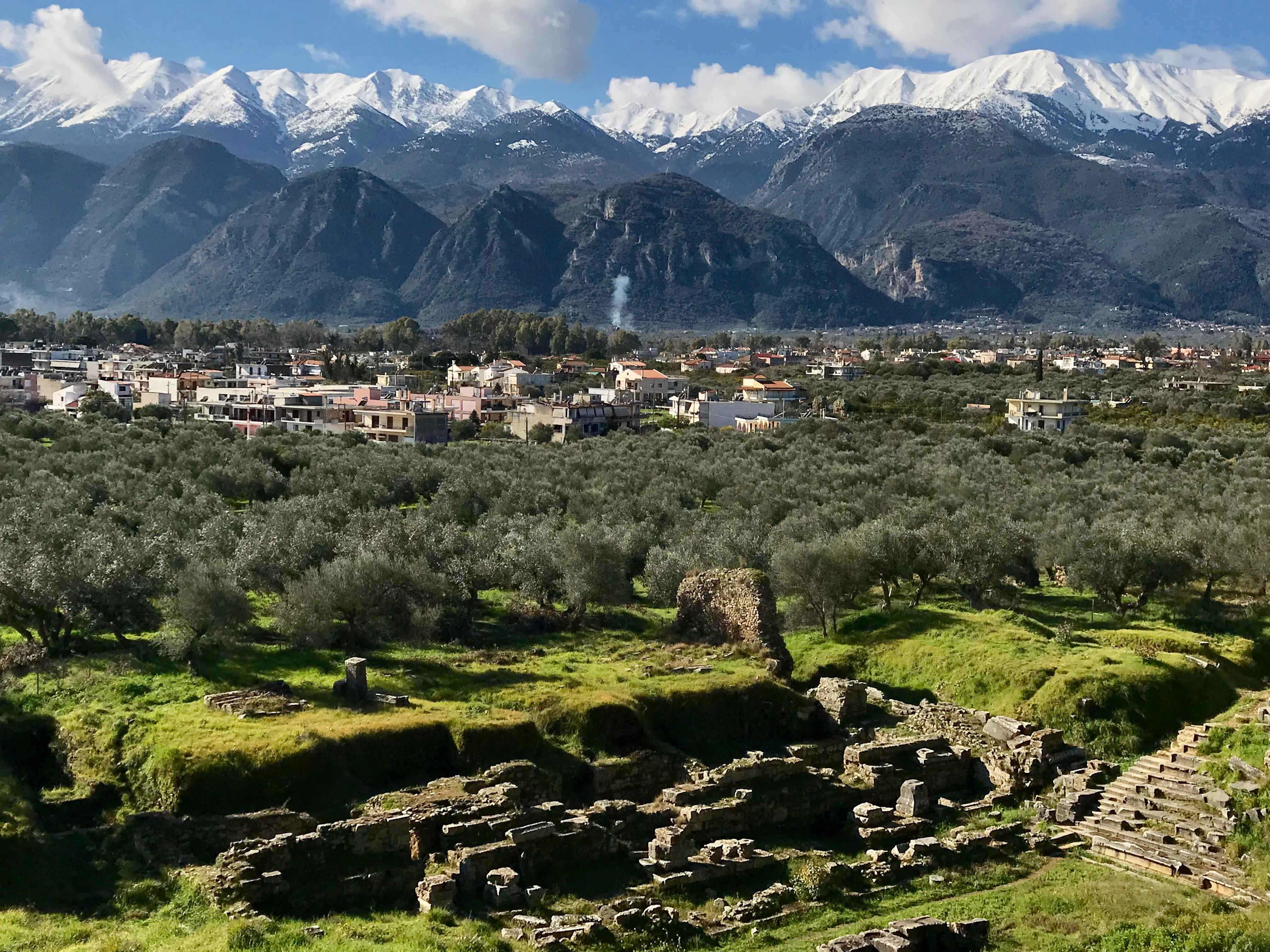 Olive Oil Tasting in Kalamata Experiences