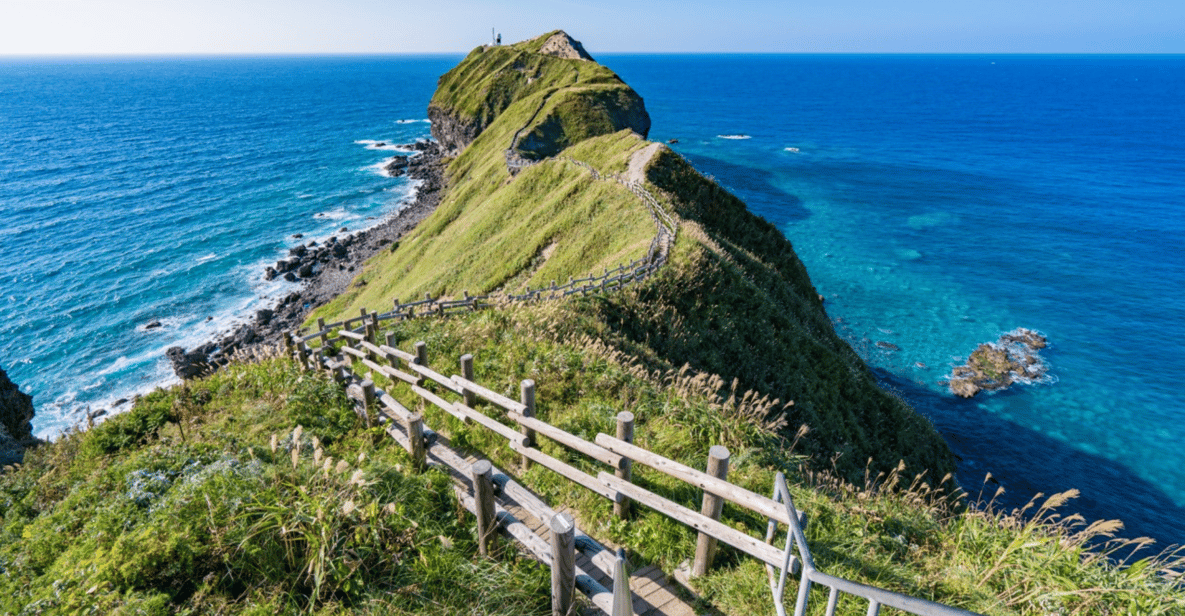 Cape Kamui Tour