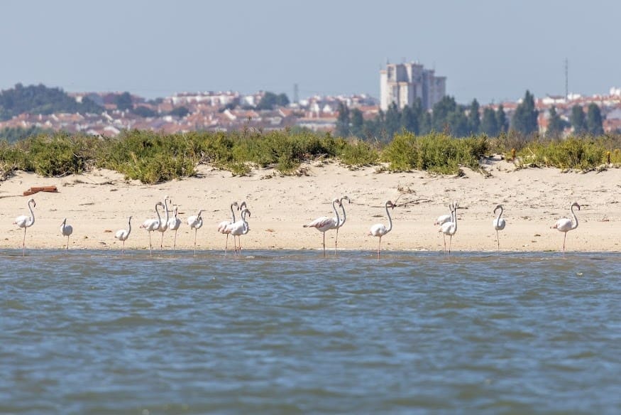 Main Lagoon