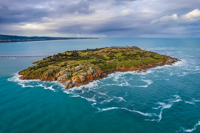 Victor Harbor Boat Cruise Experience