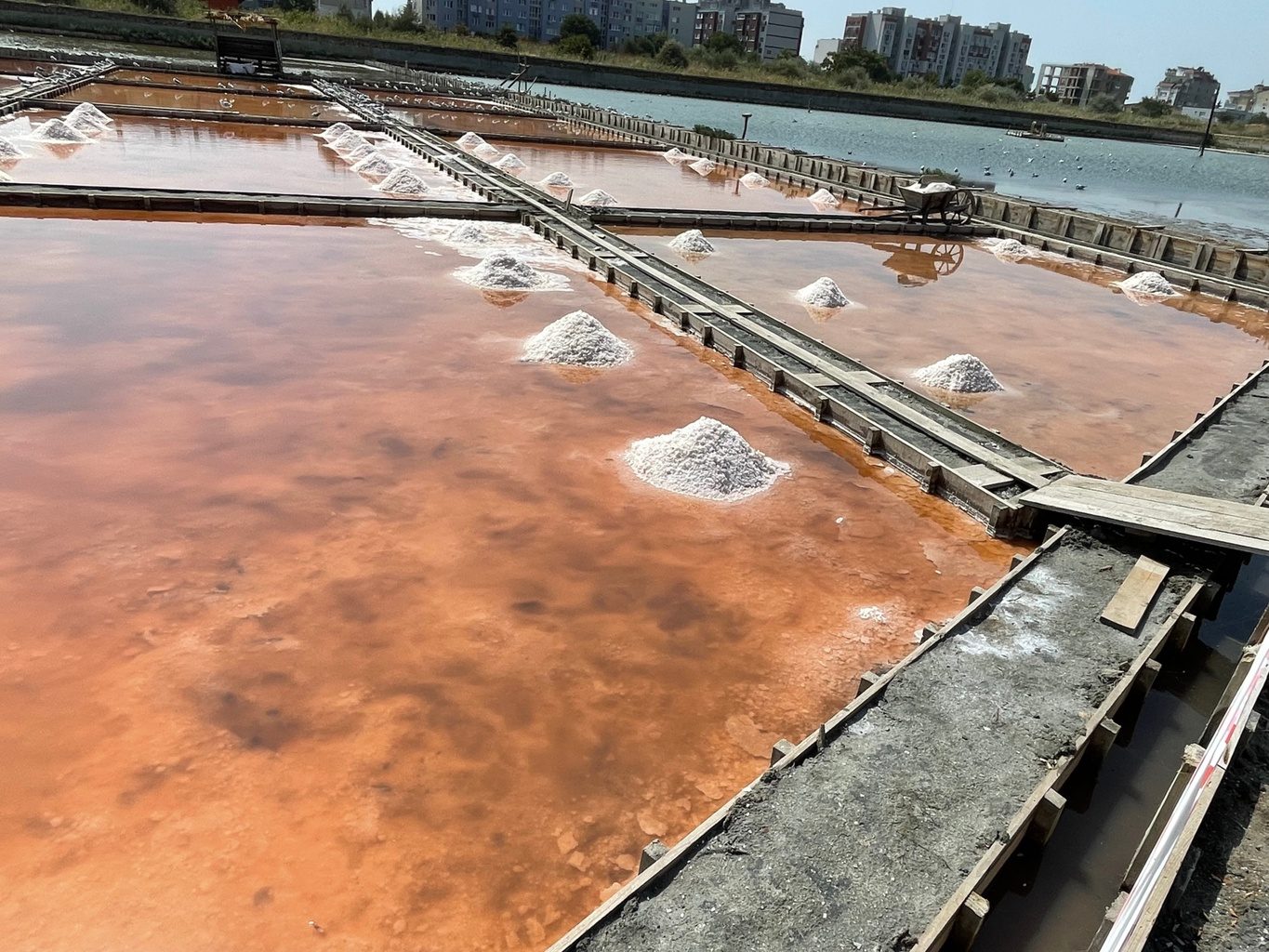 Salt Museum
