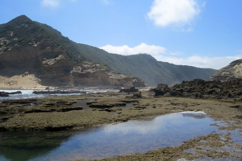 Gericke's Point