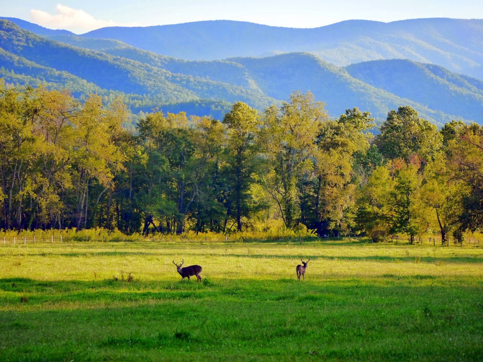 Cades Cove