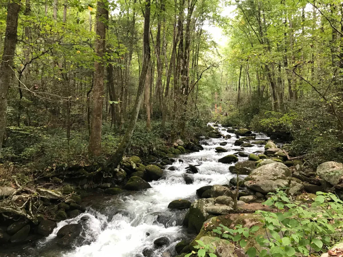 Roaring Fork Motor Nature Trail