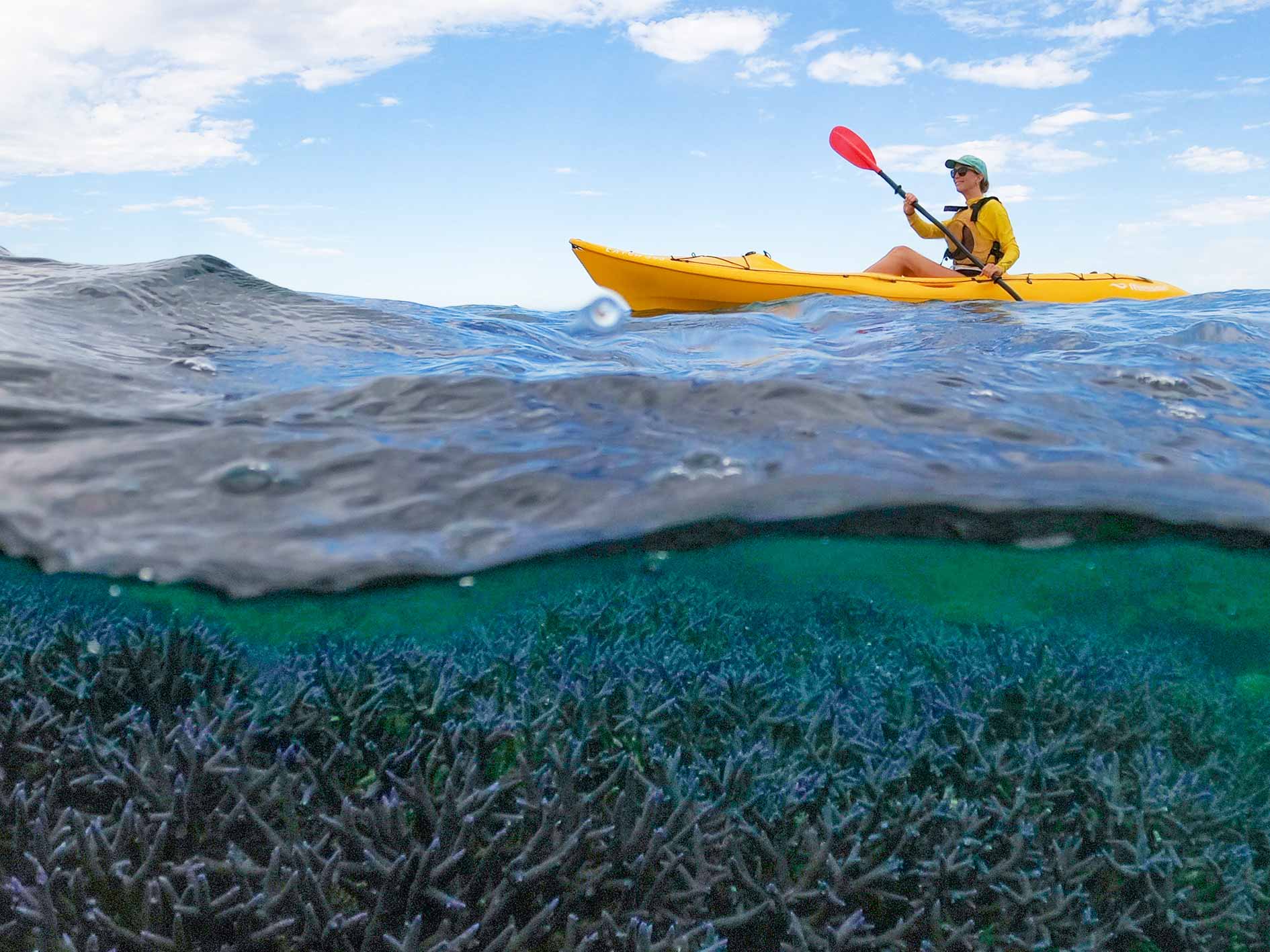 Your experience at Kaneohe Sandbar Kayak Rental