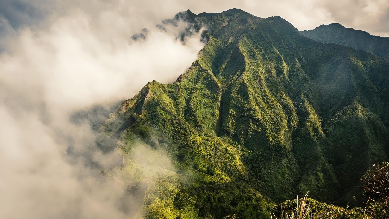 Koʻolau Mountains