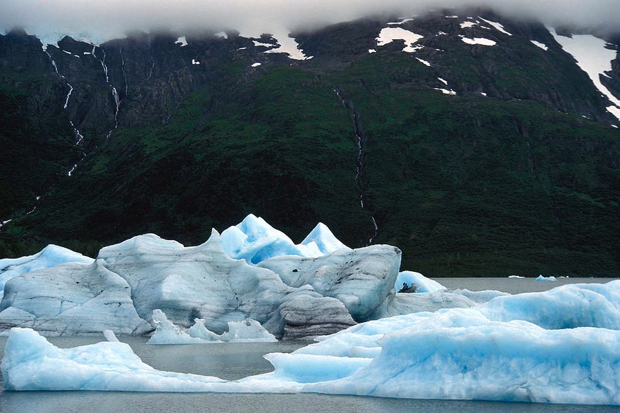 Portage Glacier Cruise Experience