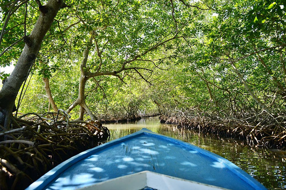 Your experience at Passeio Revoada Dos Guaras
