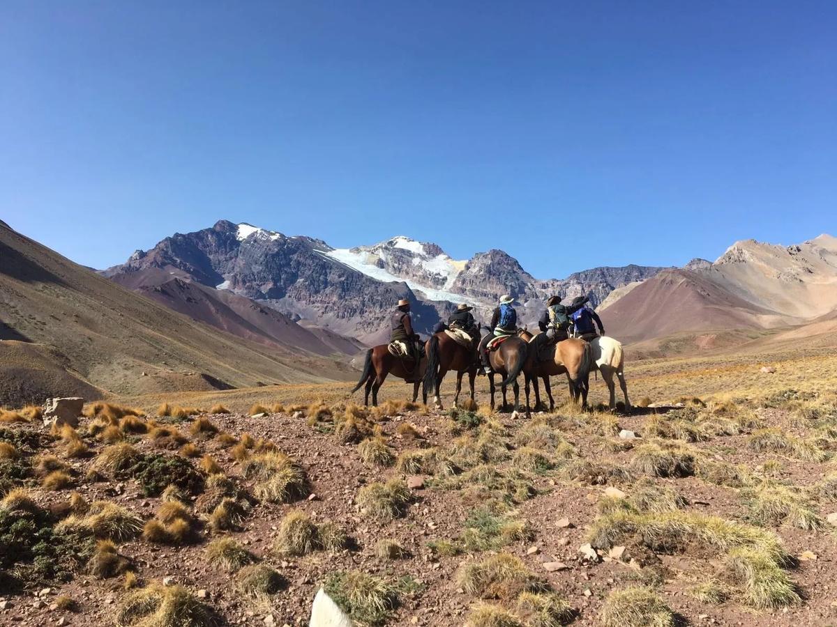 Your experience at Horseback Riding in the Andes