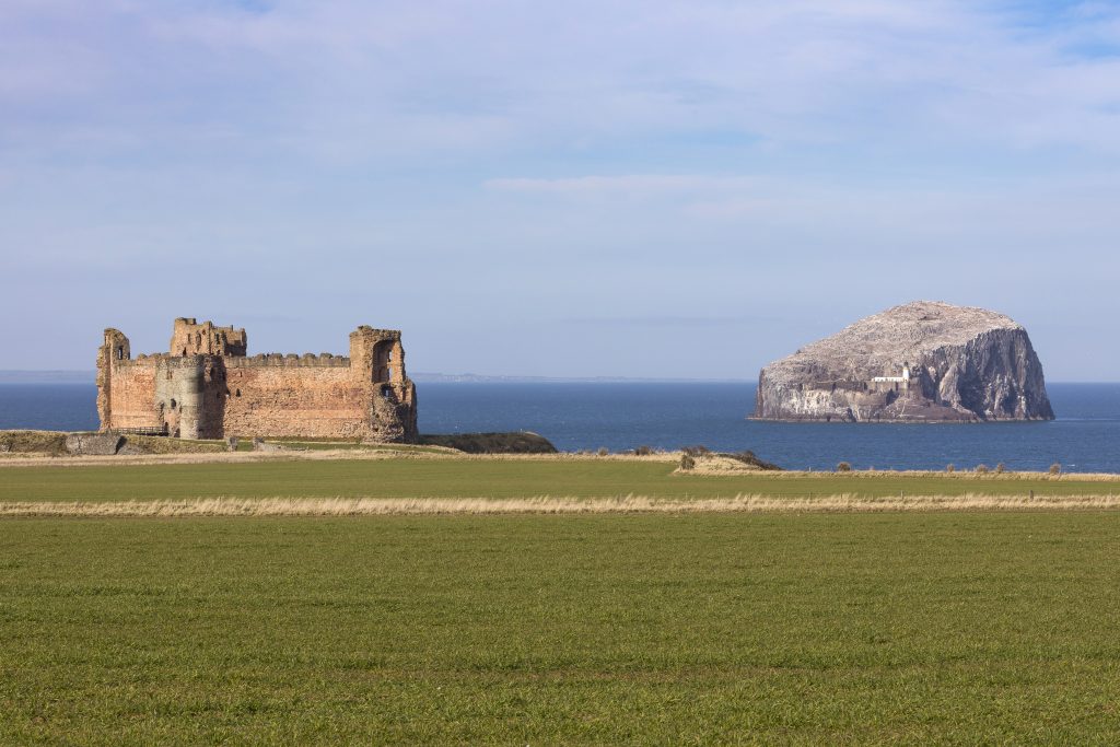 Bass Rock Views