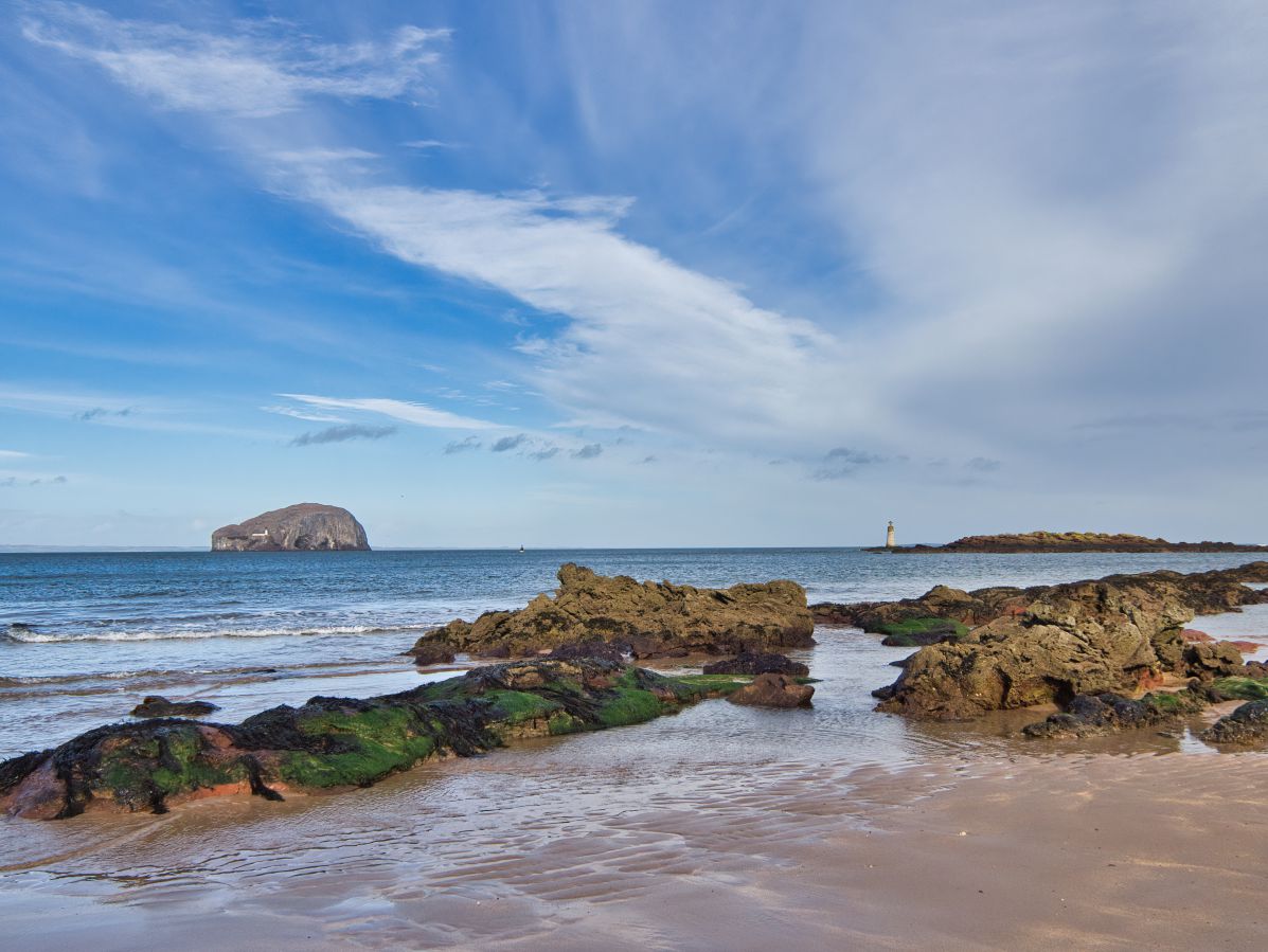 Seacliff Beach