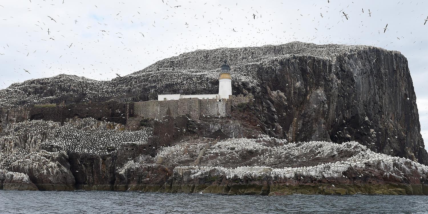 Bass Rock