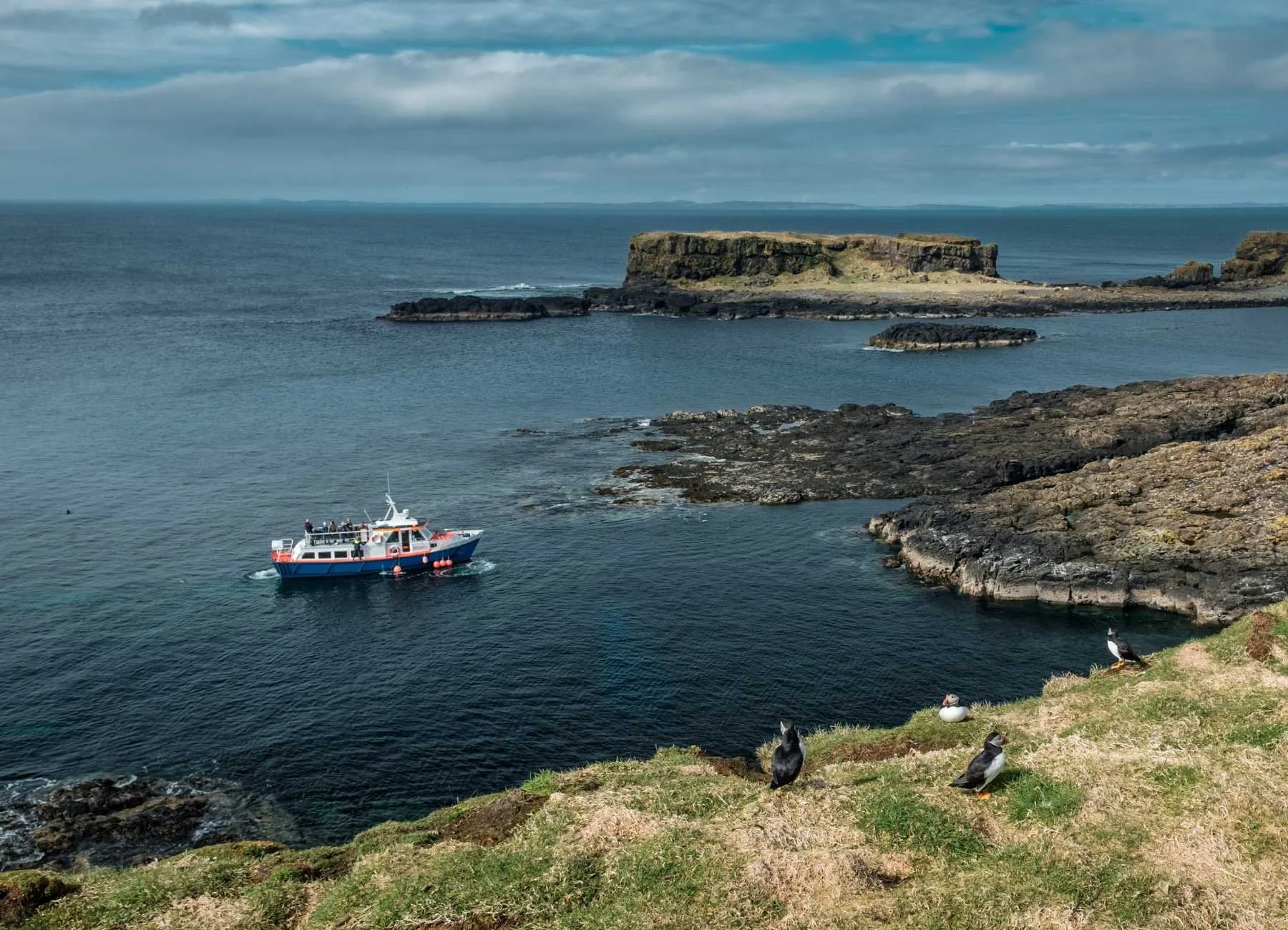 Puffin Boat Trip North Berwick