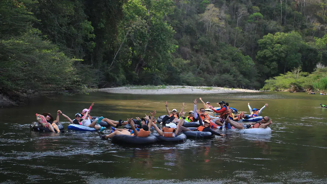 Palomino Tubing
