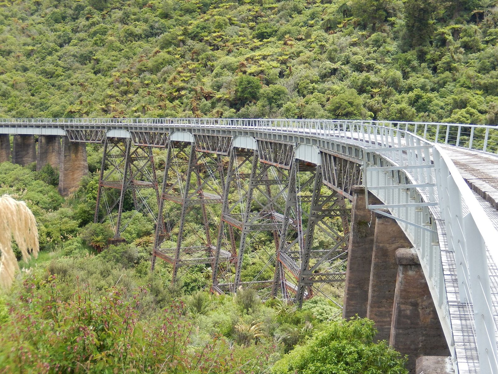 Forgotten World Rail Cart Adventure