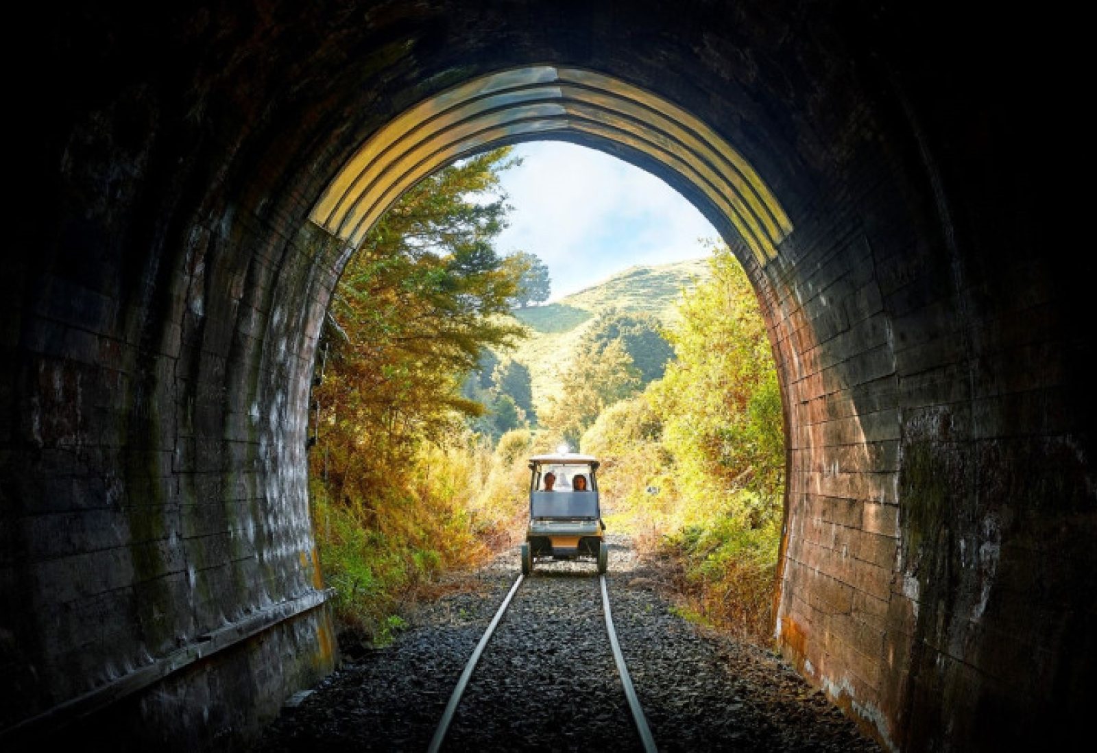 Forgotten World Rail Cart