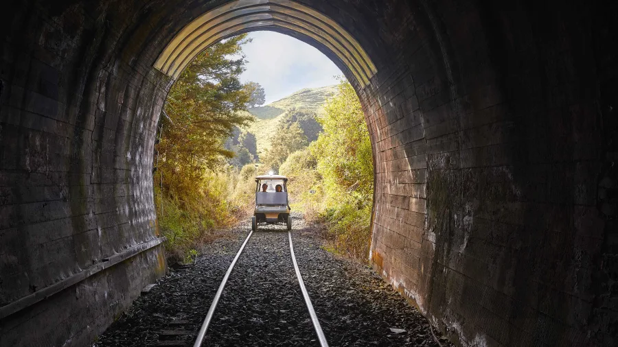 Your experience at Forgotten World Rail Cart