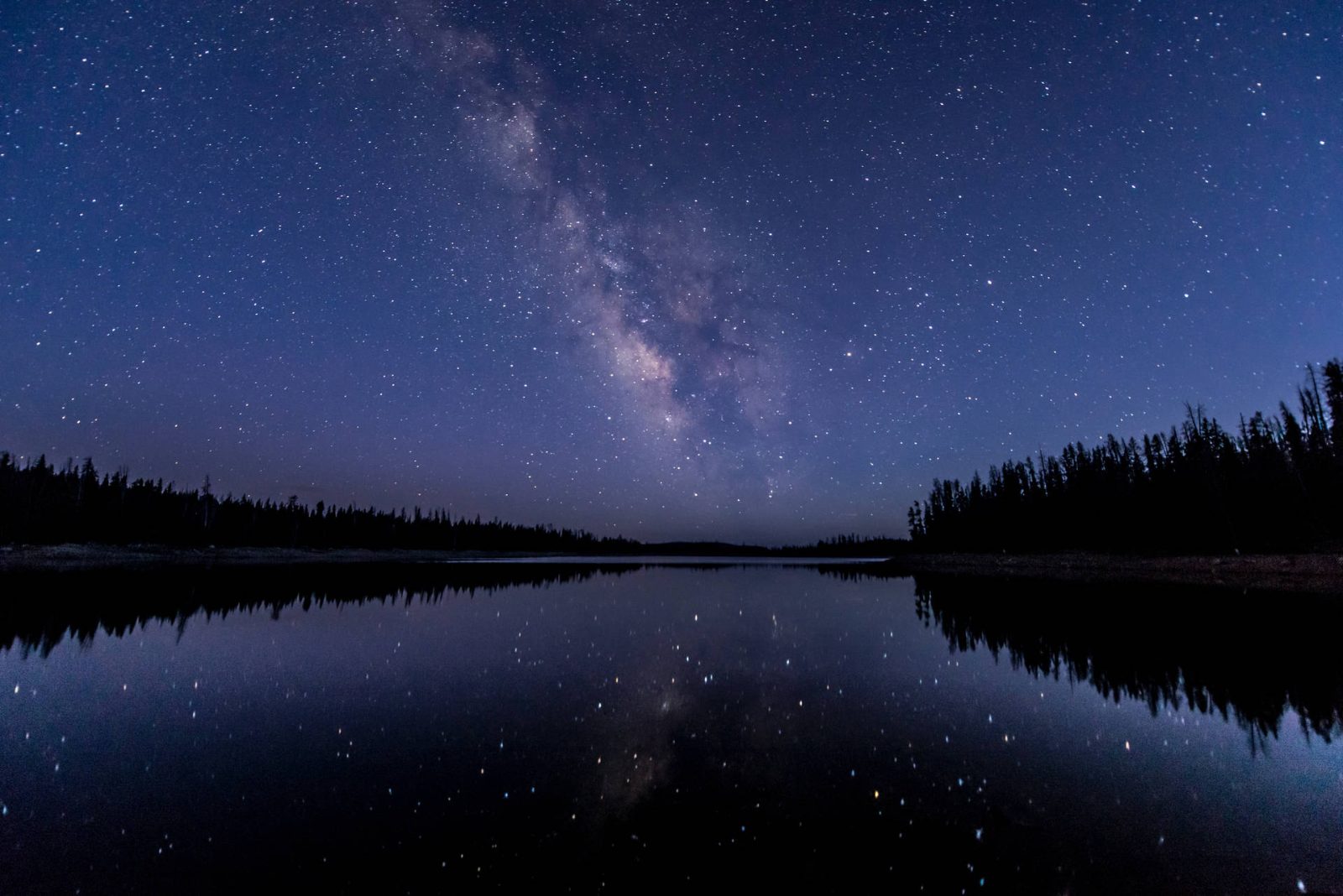 Starry Night Skies