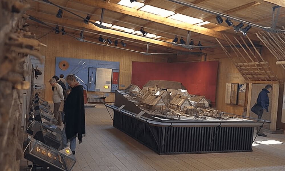 Your experience at Birka Tour From Stockholm