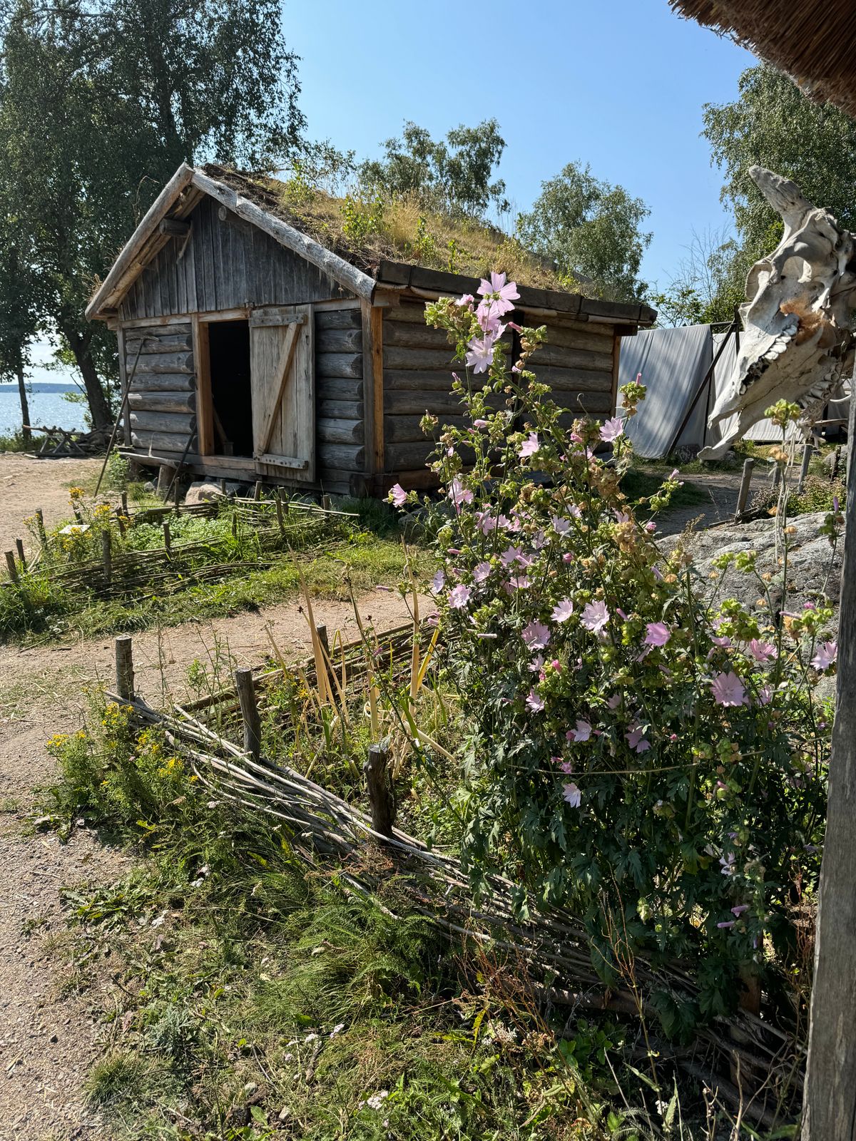 Birka Tour from Stockholm: Viking Heritage Journey