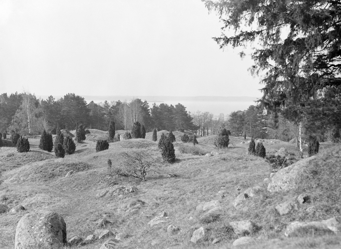 Ancient Burial Fields