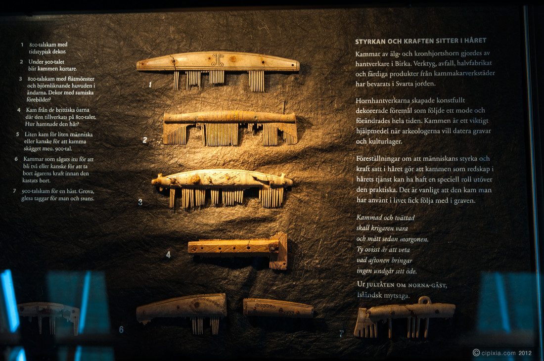 Museum Visit