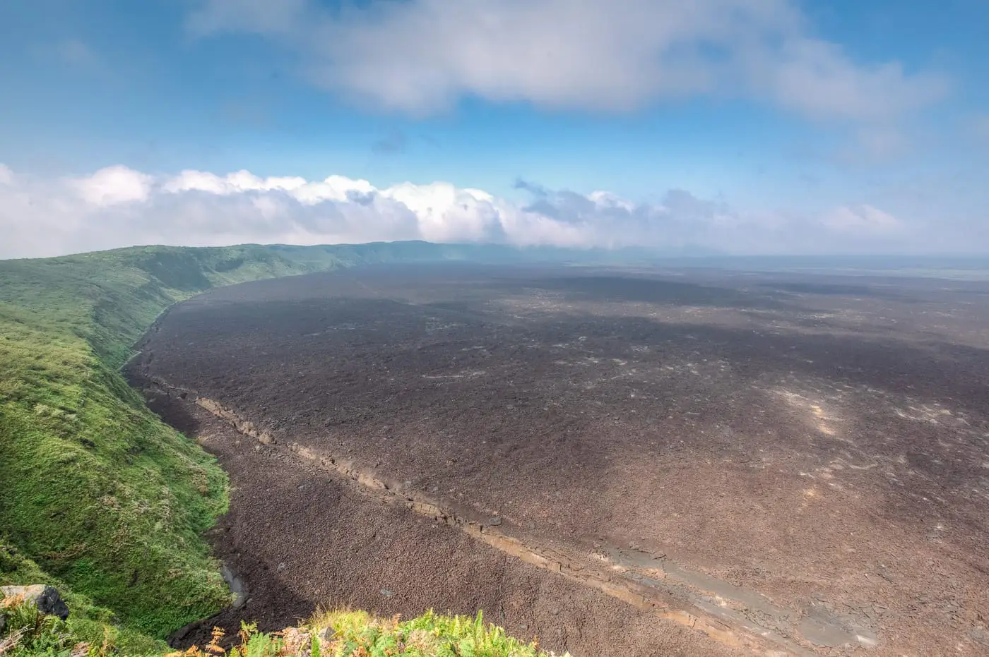 Isabela Island Day Tour from Santa Cruz Overview