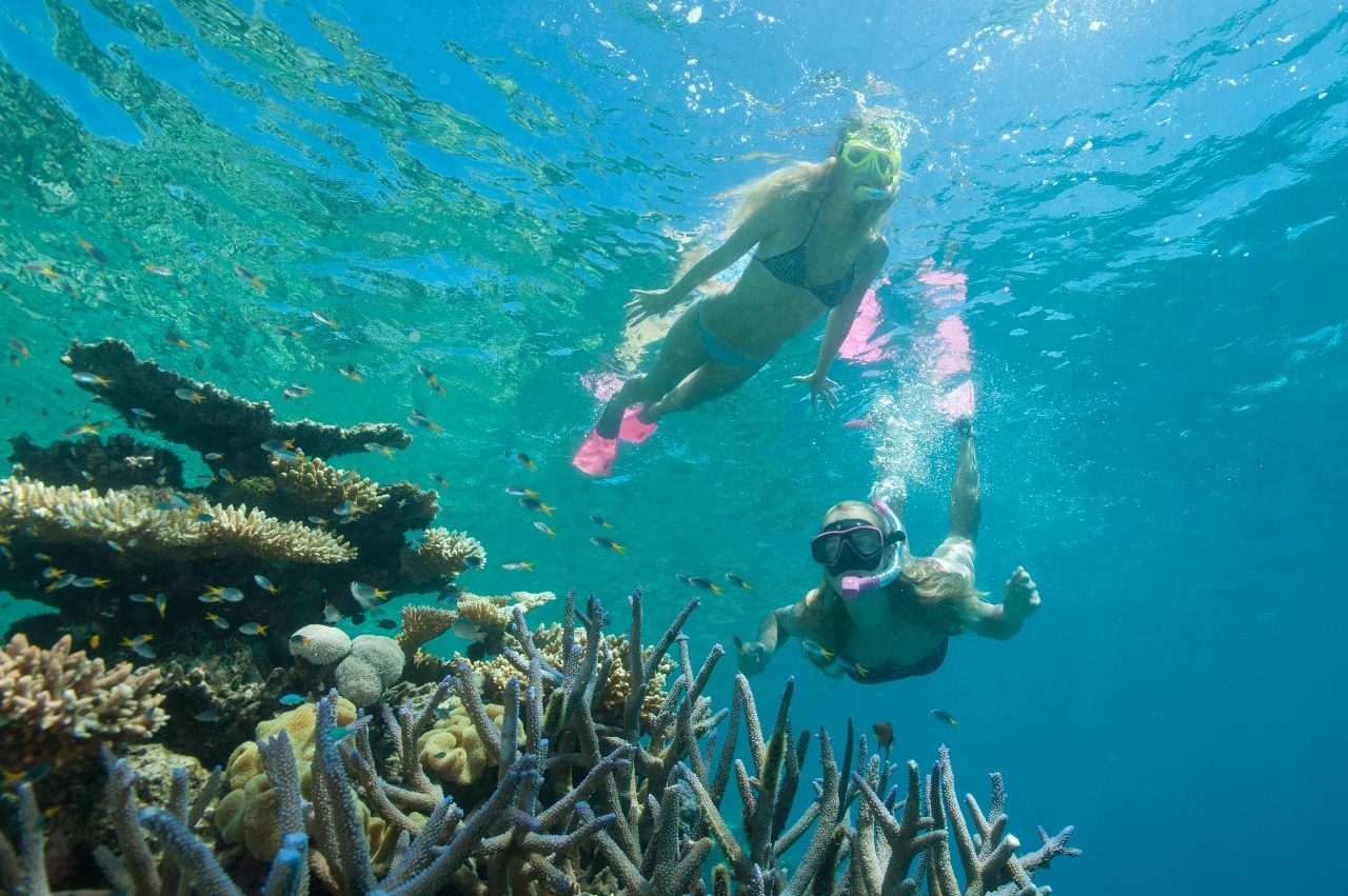 Your experience at Sosua Beach Snorkeling Tour