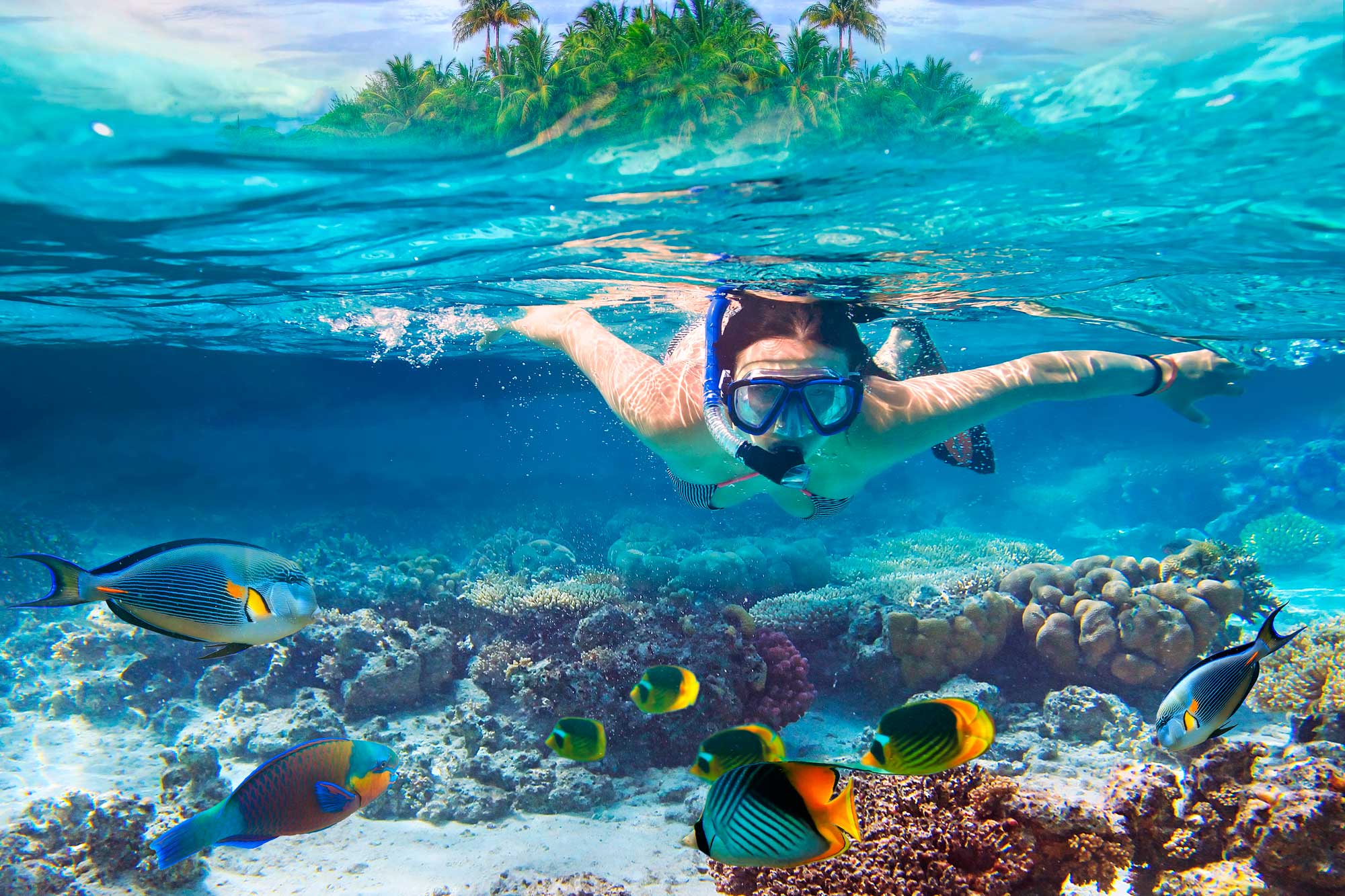 Sosua Beach Snorkeling Tour