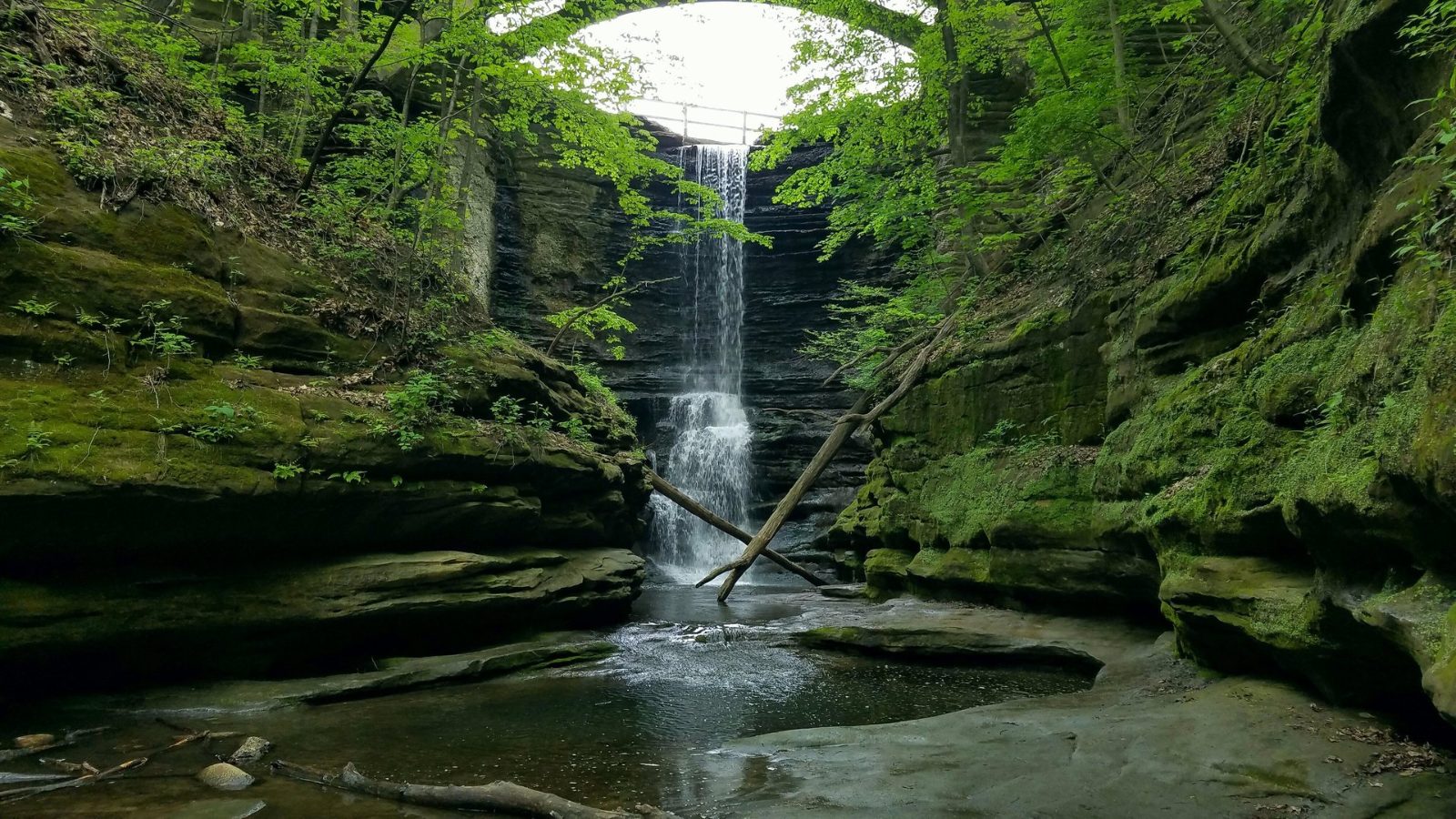 Starved Rock