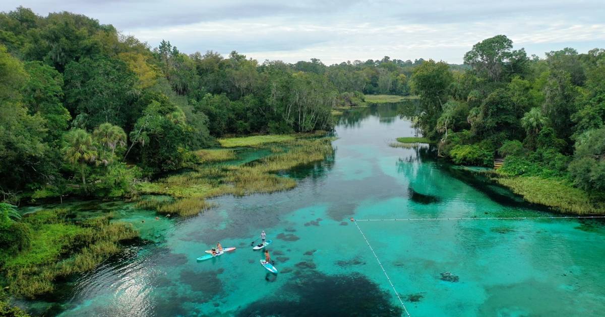 Rainbow River Clear Kayak Tour Experience